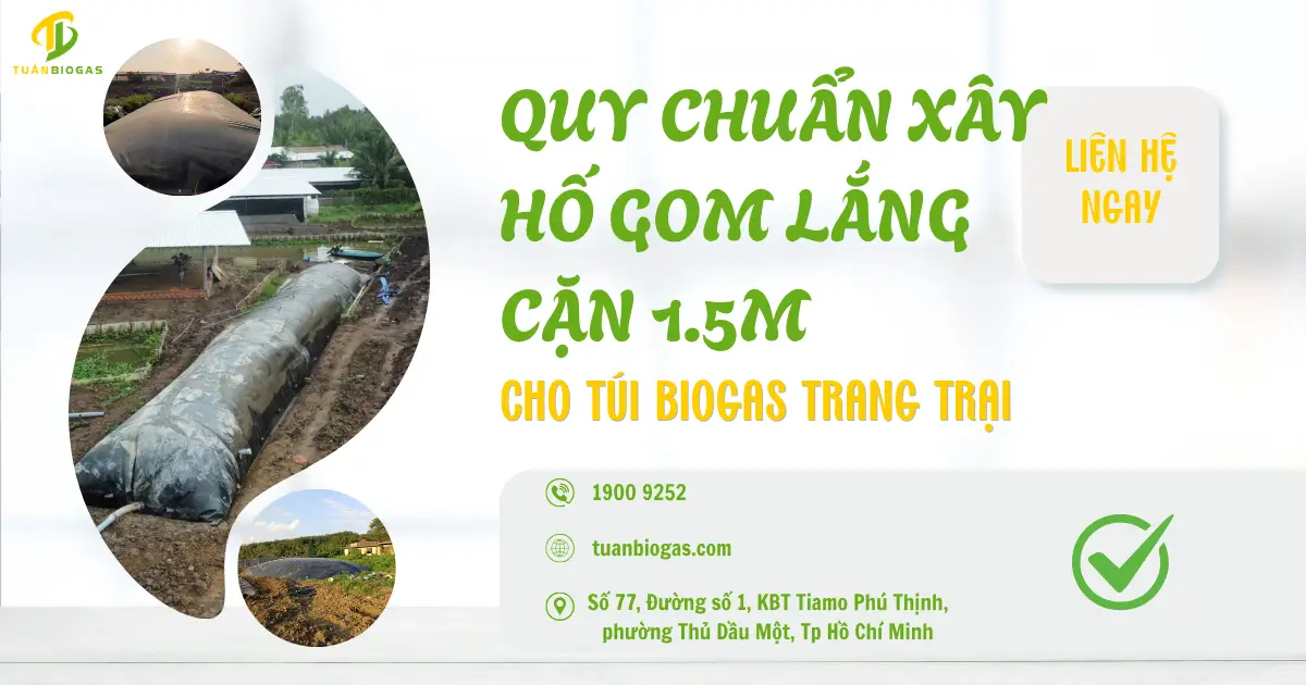 Quy Chuẩn Xây Hố Gom Lắng Cặn 1.5m Cho Túi Biogas Trang Trại & Kỹ Thuật Thi Công Hơn 300 Khối
